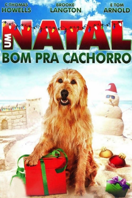 Chilly Christmas - Movie Poster Chilly Christmas - Movie Poster