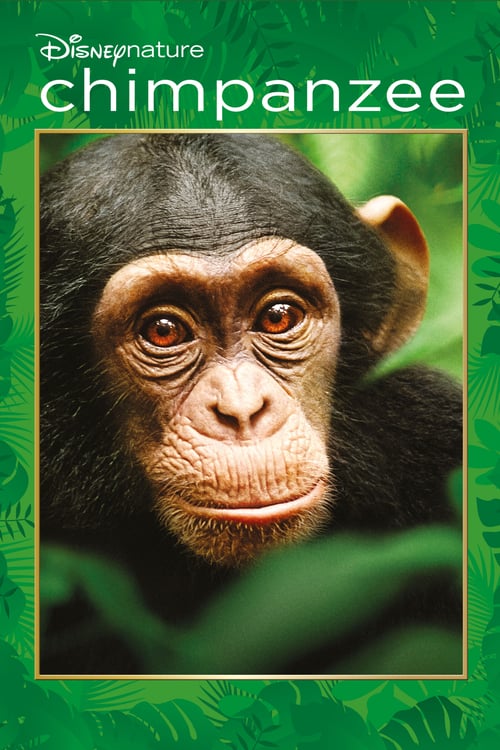 Chimpanzee - Movie Poster Chimpanzee - Movie Poster