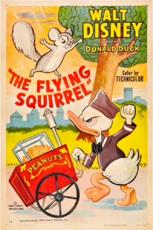 The Flying Squirrel - Movie Poster The Flying Squirrel - Movie Poster