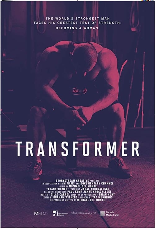 Transformer - Movie Poster Transformer - Movie Poster