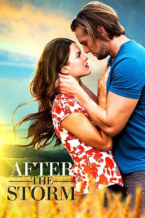 After the Storm - Movie Poster After the Storm - Movie Poster