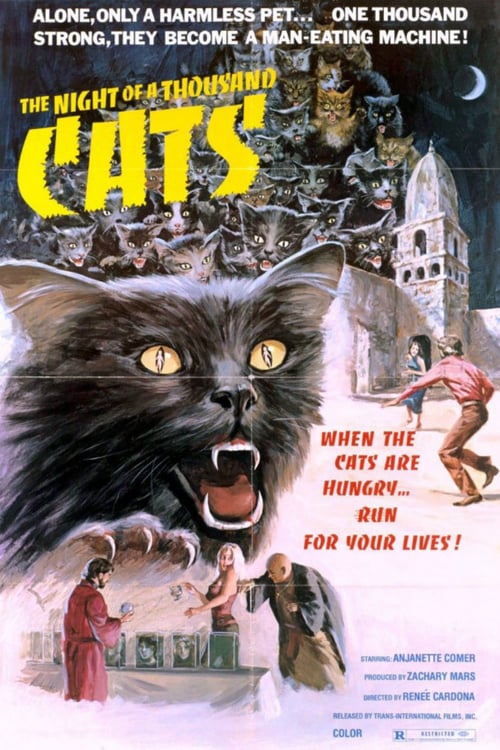 The Night of a Thousand Cats - Movie Poster The Night of a Thousand Cats - Movie Poster
