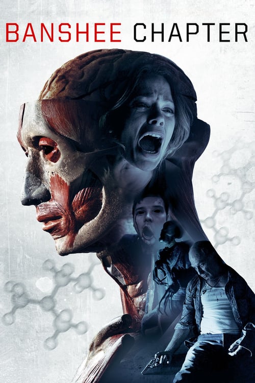 Banshee Chapter - Movie Poster