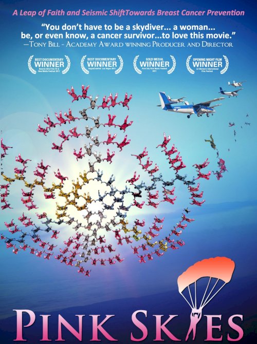 Pink Skies - Movie Poster Pink Skies - Movie Poster