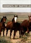 Horses of Suffield - Movie Poster Horses of Suffield - Movie Poster