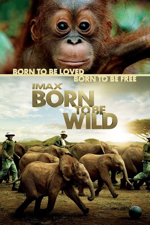 Born to Be Wild - Movie Poster Born to Be Wild - Movie Poster