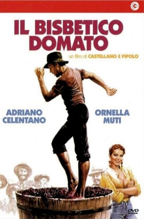The Taming of the Scoundrel - Movie Poster
