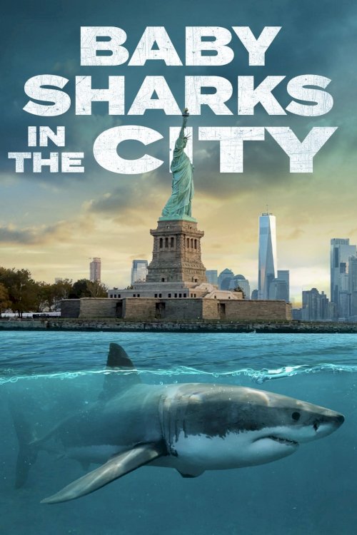 Baby Sharks In The City - Movie Poster Baby Sharks In The City - Movie Poster