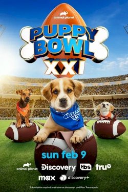 Puppy Bowl XXI - Movie Poster Puppy Bowl XXI - Movie Poster