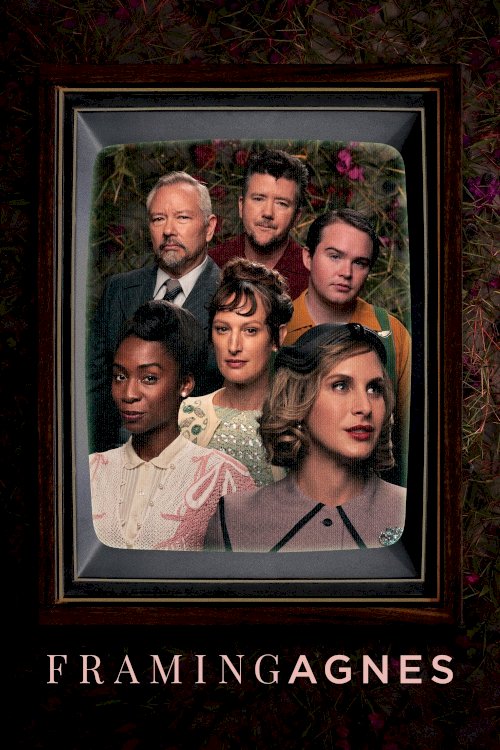Framing Agnes - Movie Poster Framing Agnes - Movie Poster