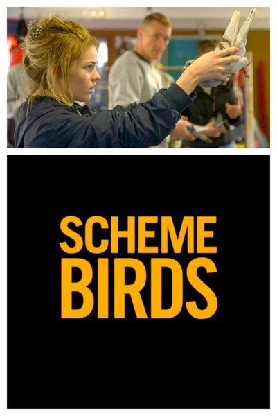 Scheme Birds - Movie Poster Scheme Birds - Movie Poster