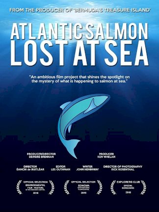 Atlantic Salmon: Lost at Sea - Movie Poster Atlantic Salmon: Lost at Sea - Movie Poster