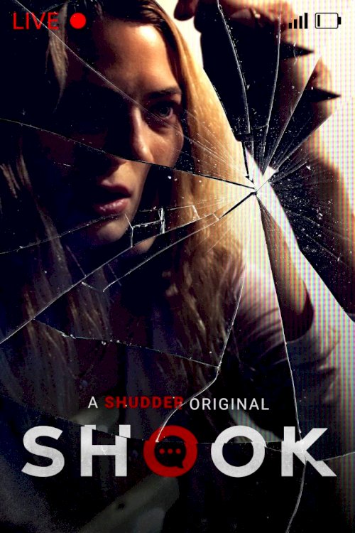 Shook - Movie Poster Shook - Movie Poster