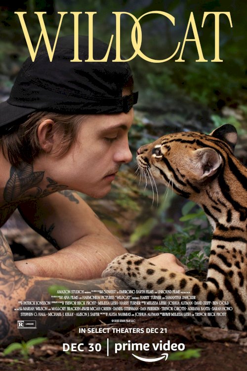 Wildcat - Movie Poster