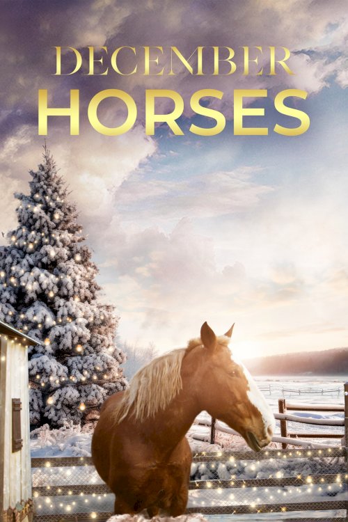 December Horses - Movie Poster December Horses - Movie Poster