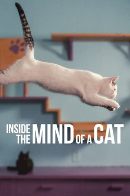 Inside the Mind of a Cat - Movie Poster Inside the Mind of a Cat - Movie Poster