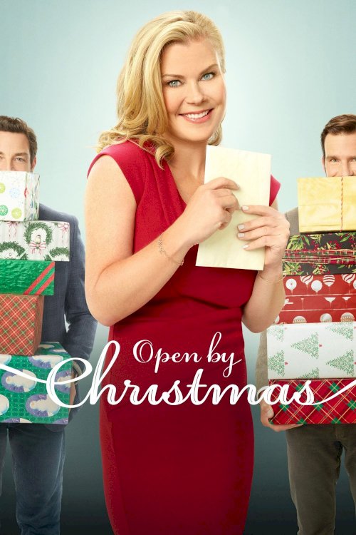 Open by Christmas - Movie Poster