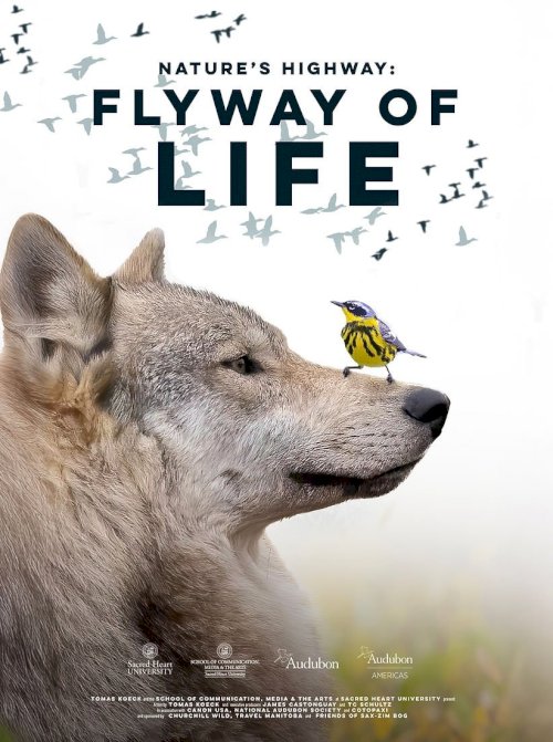 Flyway of Life - Movie Poster Flyway of Life - Movie Poster