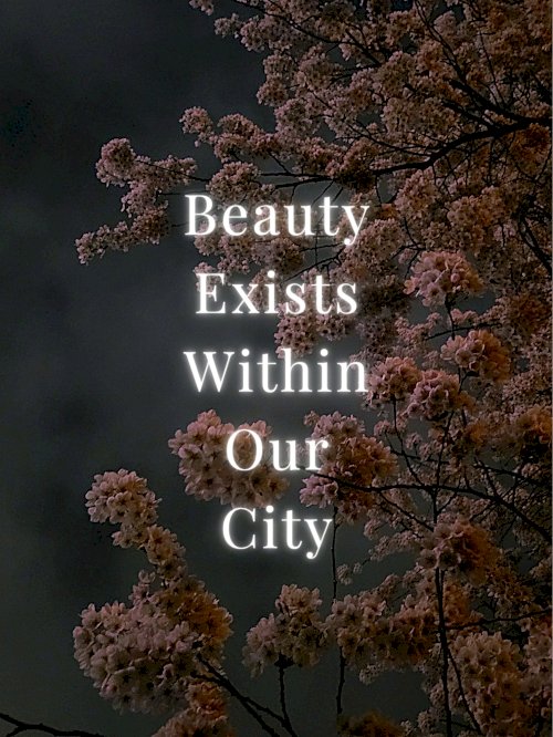 Beauty Exists Within Our City - Movie Poster