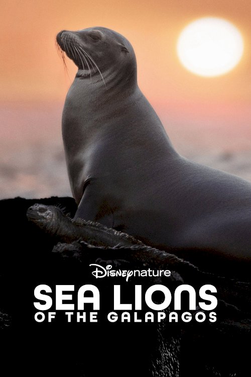 Sea Lions of the Galapagos - Movie Poster Sea Lions of the Galapagos - Movie Poster