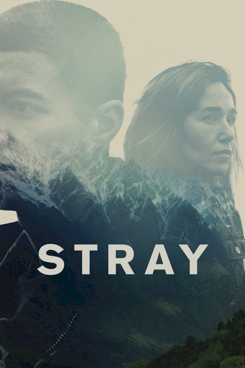 Stray - Movie Poster Stray - Movie Poster