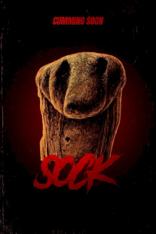 Sock - Movie Poster Sock - Movie Poster