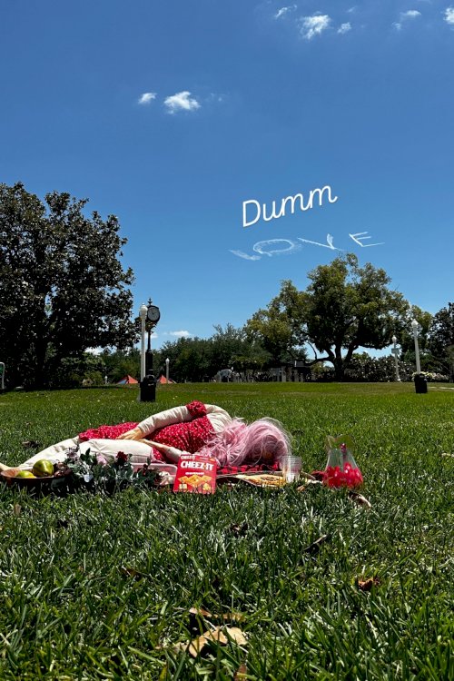 Dumm Love - Movie Poster Dumm Love - Movie Poster