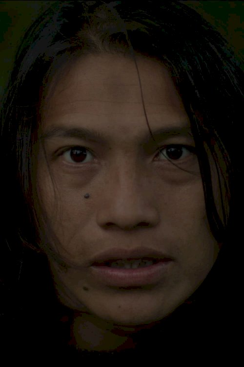 Canuto's Transformation - Movie Poster Canuto's Transformation - Movie Poster