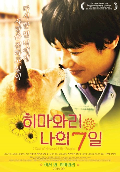 7 Days of Himawari & Her Puppies - Movie Poster 7 Days of Himawari & Her Puppies - Movie Poster