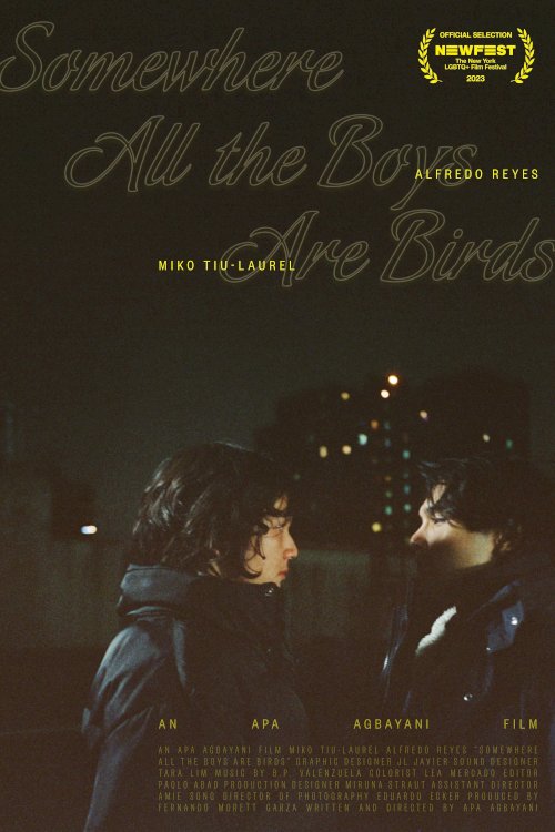 Somewhere all the boys are birds - Movie Poster Somewhere all the boys are birds - Movie Poster