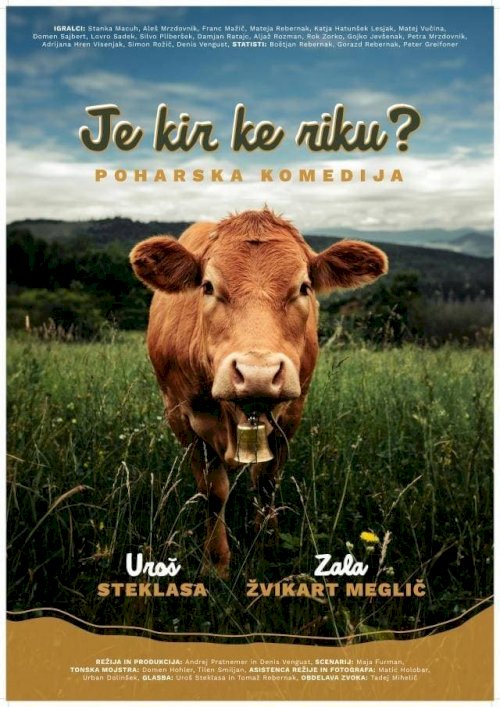 Je kir ke riku? Poharska komedija - Movie Poster Je kir ke riku? Poharska komedija - Movie Poster