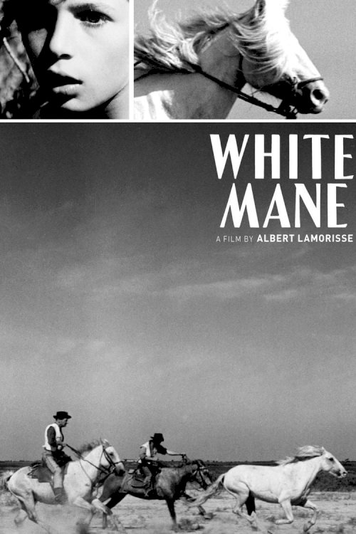 White Mane - Movie Poster White Mane - Movie Poster