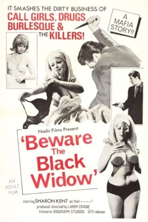 Beware the Black Widow - Movie Poster Beware the Black Widow - Movie Poster