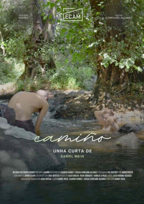 Camiño - Movie Poster