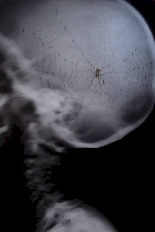 Spiderhead - Movie Poster Spiderhead - Movie Poster