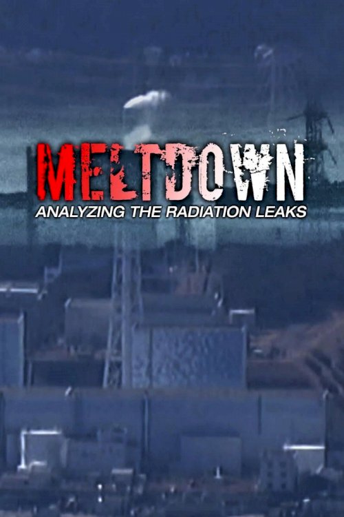Meltdown:  Analyzing the Radiation Leaks - Movie Poster
