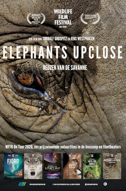 Elephants Up Close - Movie Poster Elephants Up Close - Movie Poster