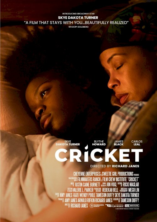 Cricket - Movie Poster Cricket - Movie Poster