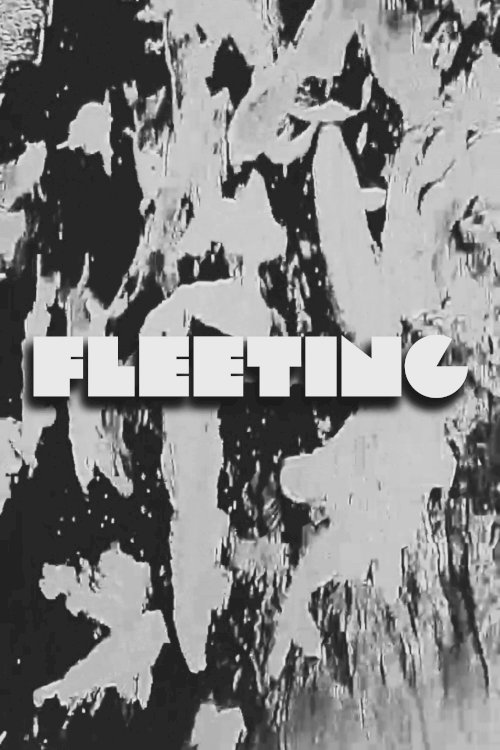 FLEETING - Movie Poster FLEETING - Movie Poster