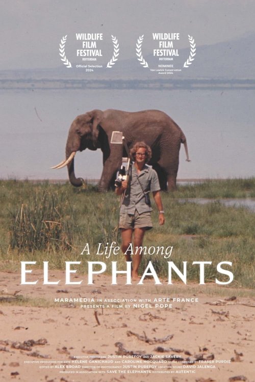 A Life Among Elephants - Movie Poster A Life Among Elephants - Movie Poster