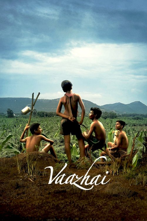 Vaazhai - Movie Poster Vaazhai - Movie Poster