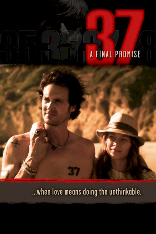 37 - Movie Poster 37 - Movie Poster