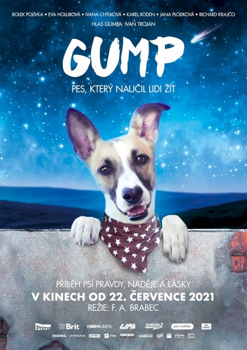 Gump - Movie Poster Gump - Movie Poster