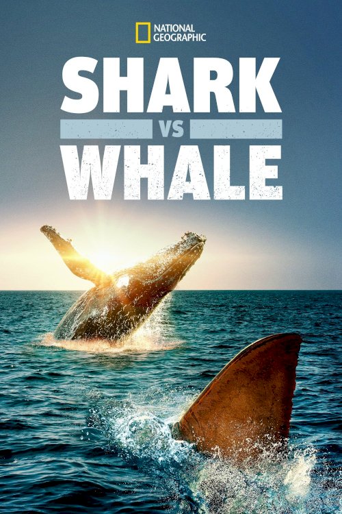 Shark Vs. Whale - Movie Poster Shark Vs. Whale - Movie Poster