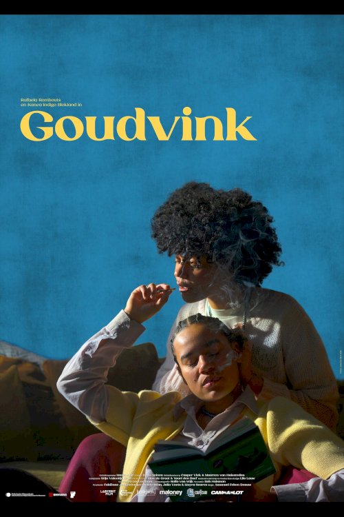 Goudvink - Movie Poster Goudvink - Movie Poster