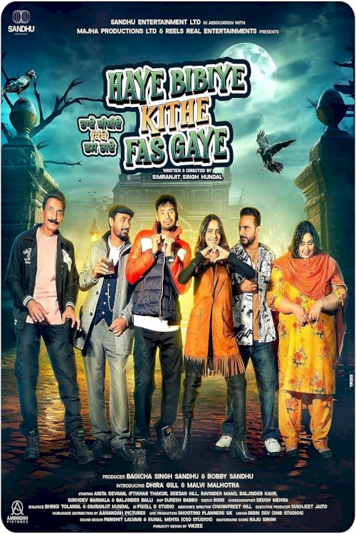 Haye Bibiye Kithe Fas Gaye - Movie Poster Haye Bibiye Kithe Fas Gaye - Movie Poster