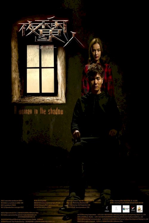 A Woman in the Shadow - Movie Poster A Woman in the Shadow - Movie Poster