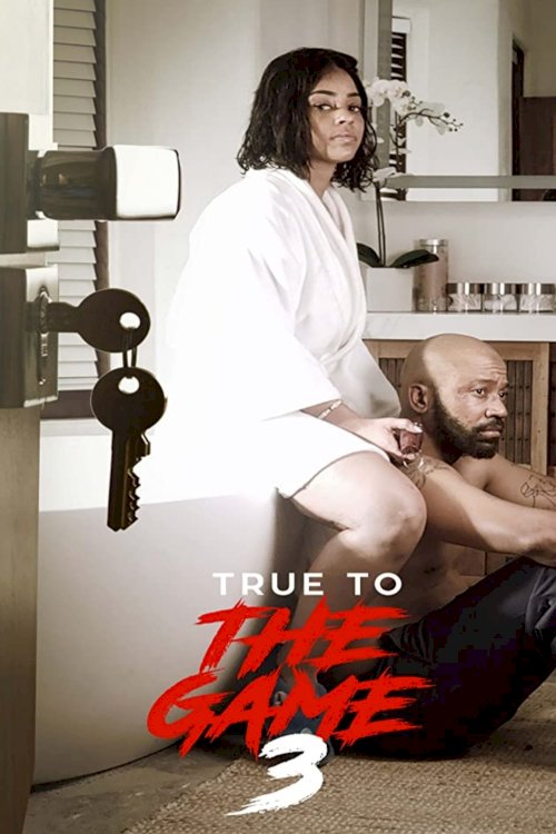 True to the Game 3 - Movie Poster True to the Game 3 - Movie Poster