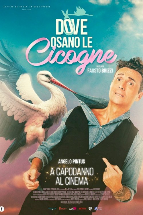 Dove osano le cicogne - Movie Poster Dove osano le cicogne - Movie Poster