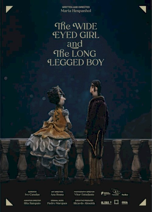 The Wide Eyed Girl and the Long Legged Boy - Movie Poster The Wide Eyed Girl and the Long Legged Boy - Movie Poster